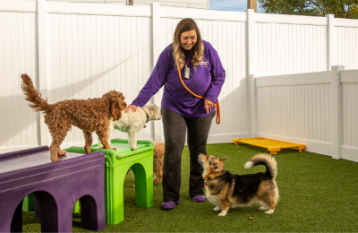 Is Asheville Dog-Friendly?