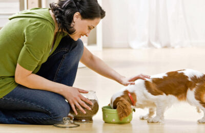 Dog Tips for National Nutrition Month