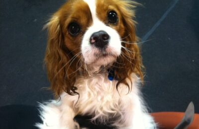 Murph
