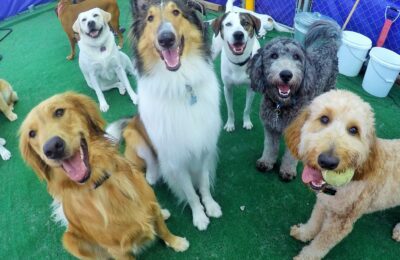 Happy Faces