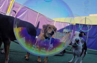 Bubbles!