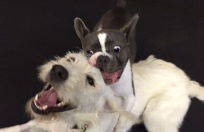 Ari & Bella