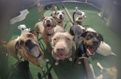 Pitty Party!
