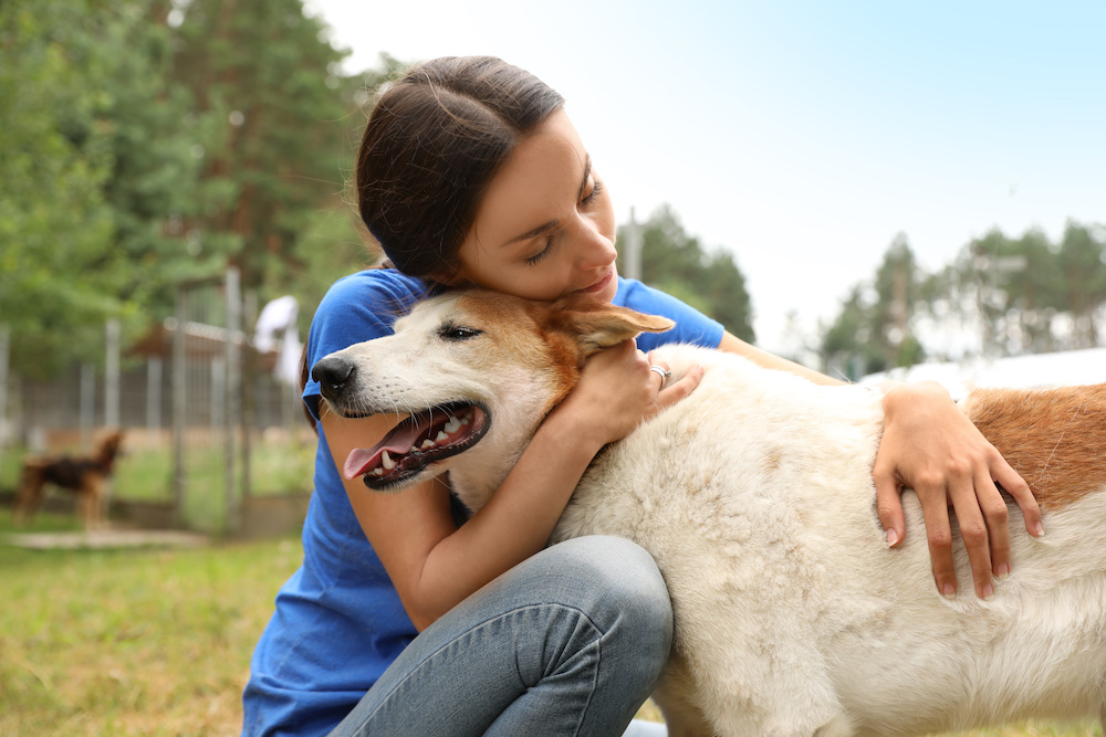 A woman in a blue shirt hugs a large dog tenderly. Personalized attention is one of the benefits of doggy day care.