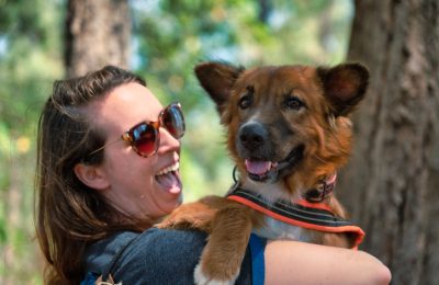 What to do with your dog in Naperville-Aurora September 2025