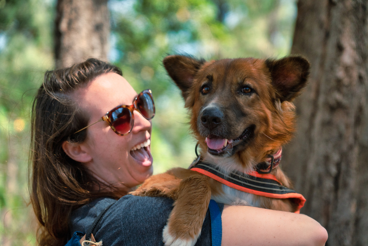 What to do with your dog in Naperville-Aurora September 2025