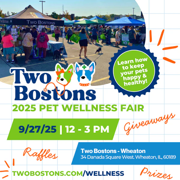Two Bostons Pet Wellness Fair Dog Event in Wheaton, IL