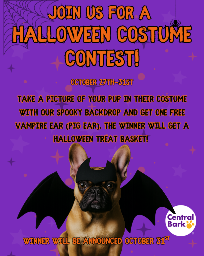 Pet Halloween Contest at Central Bark Aurora-Fox Valley