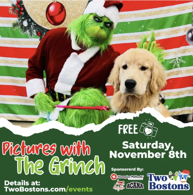 Two Bostons Dog Event: Pictures With the Grinch