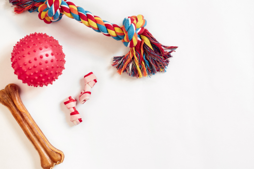 A variety of interactive dog toys, including a bone, arranged on a white surface.