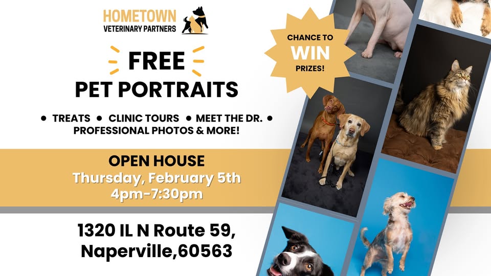 Hometown Veterinary Partners Naperville Grand Opening