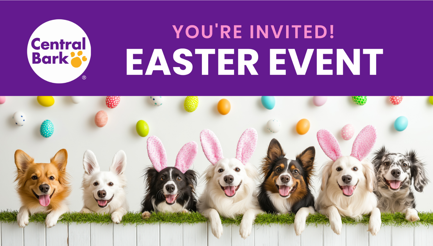 Easter Event for Dogs in Naperville