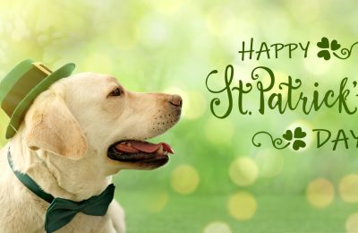 Happy Easter at Central Bark!