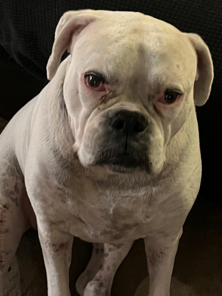 Sad Ellie