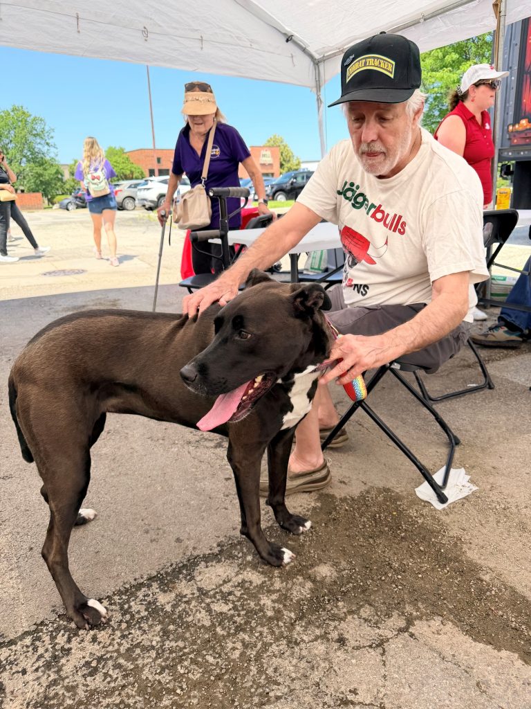 Friendly dogs all around!