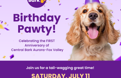 Central Bark dog daycare facility turns one - let's celebrate