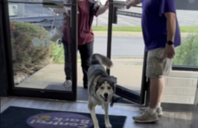 Dog day care begins in the morning at Central Bark Naperville-Aurora