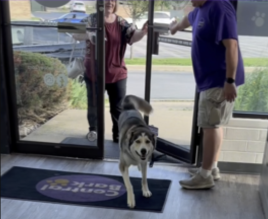 Dog day care begins in the morning at Central Bark Naperville-Aurora