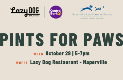 Pints for Paws dog event in Naperville