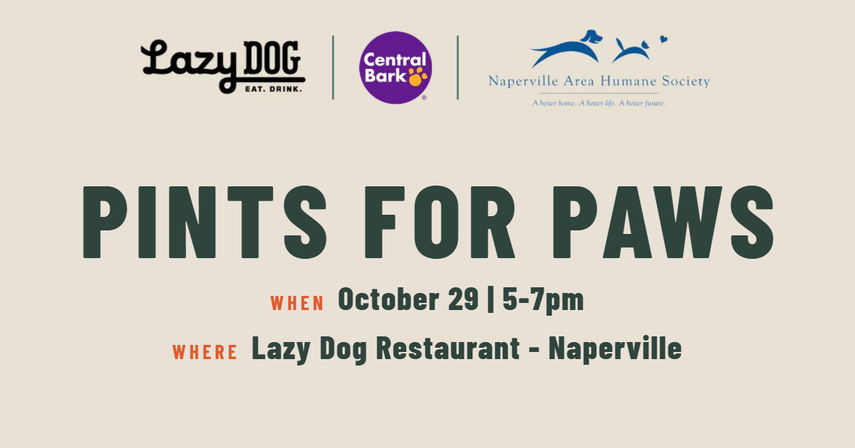 Pints for Paws dog event in Naperville