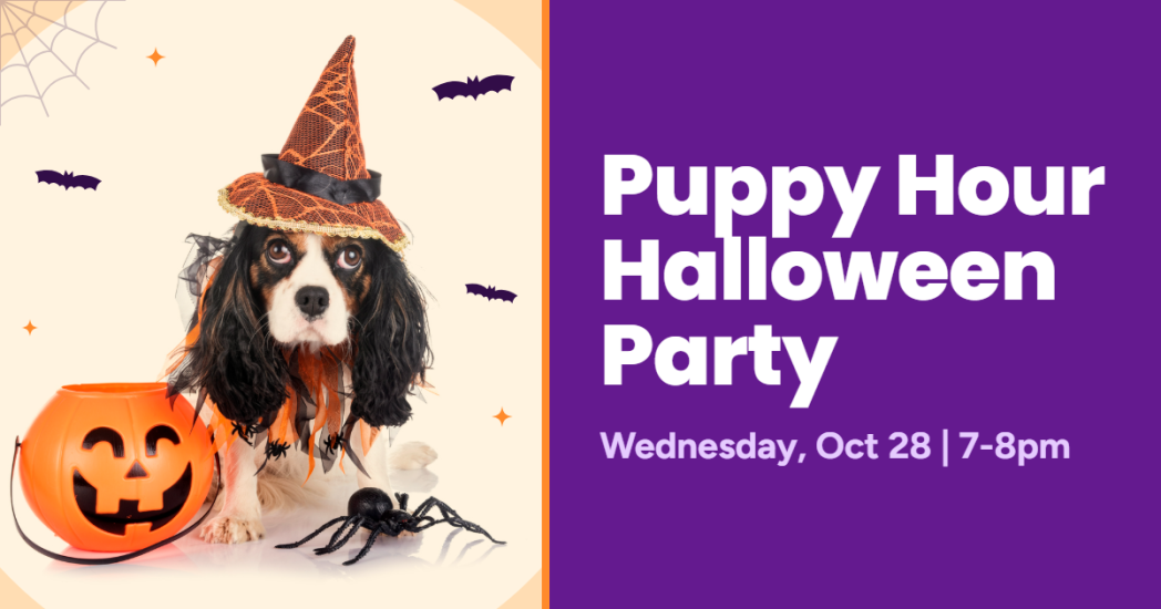 Puppy Hour Halloween Party - puppy costume contest