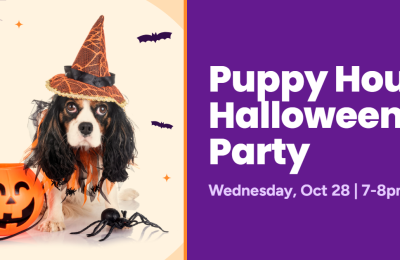 Puppy Hour Halloween Party - puppy costume contest