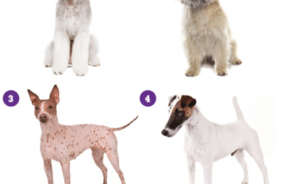 Earth Day – April 22