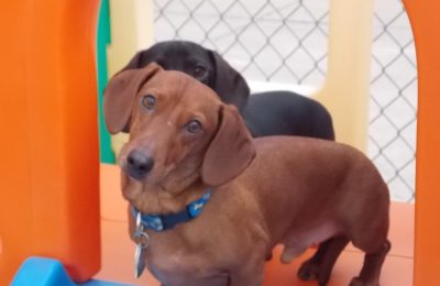 Congrats, Bernhardt and Wilhelm!