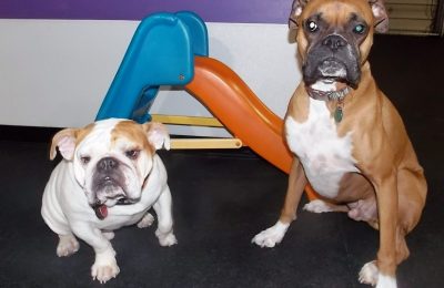 Congrats, Murry Christmas and Bauce (pronounced “Boss”).