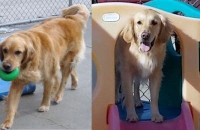 Congrats, Cali & Hunter!