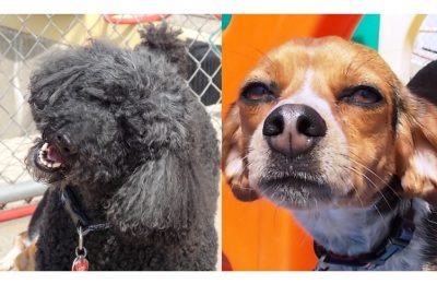Congrats, Tia and Dublin!