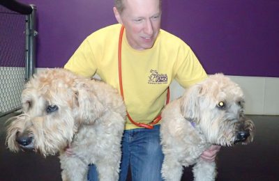 December Dog of The Month