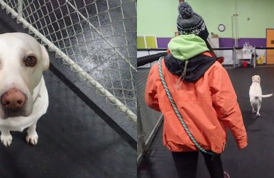 January Dog of The Month