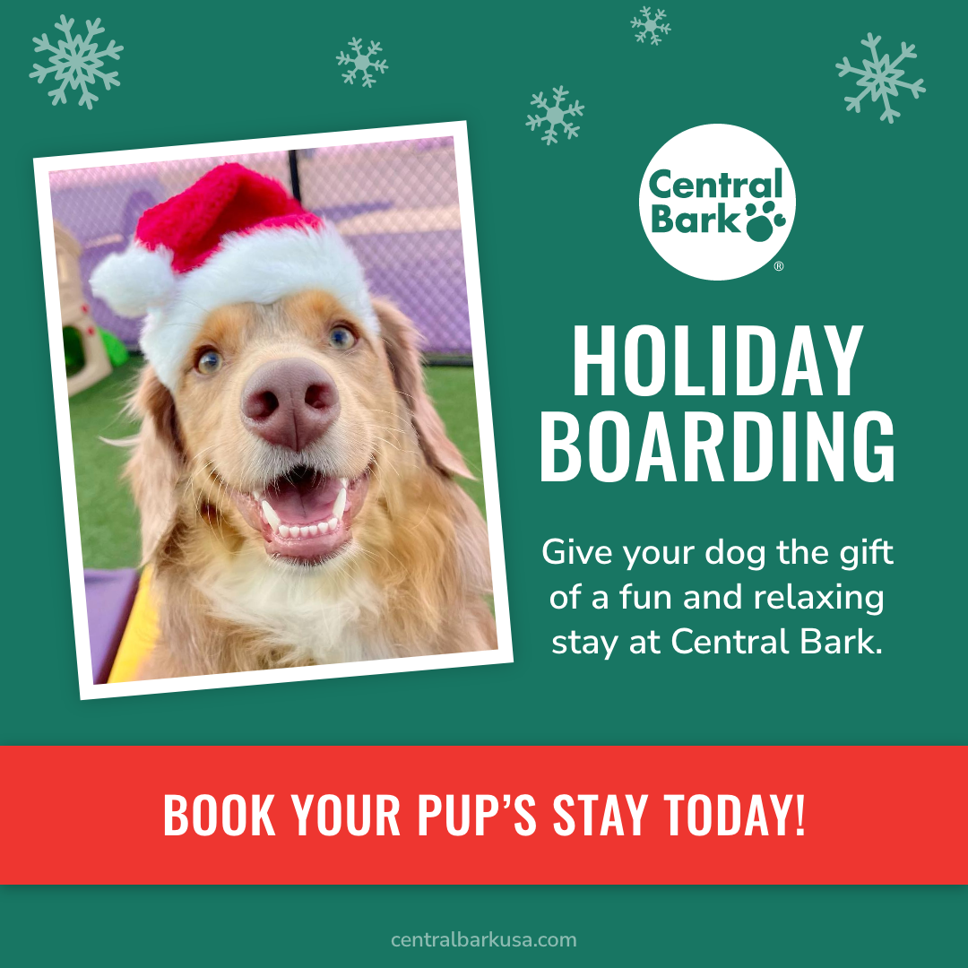 Your Dog's Boarding Checklist Central Bark Broadview Heights