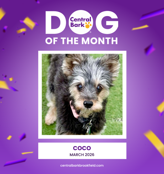 Congratulations, Coco!!