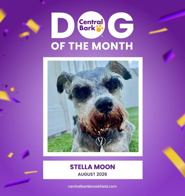 Congratulations, Stella Moon!