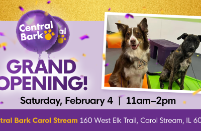 Central Bark Carol Stream, IL Grand Opening Celebration