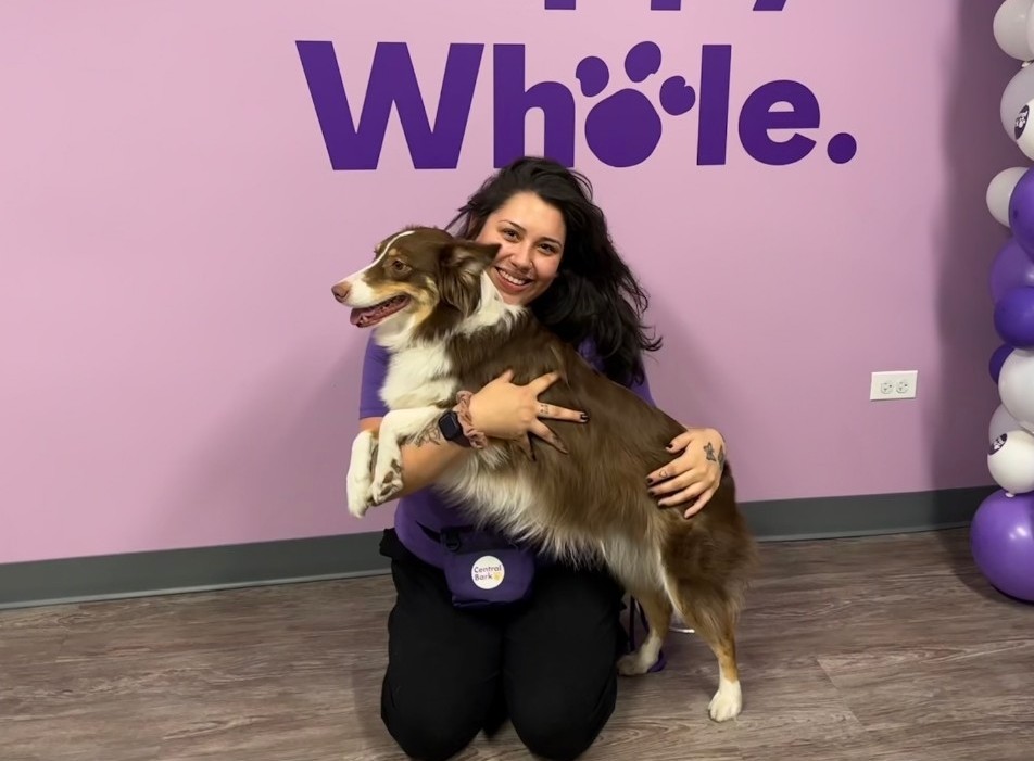 dog trainer ashley