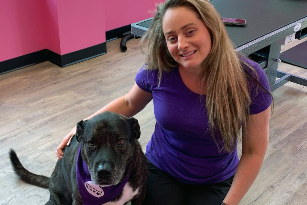 Dog Grooming Services in CharlotteMatthews, NC Central Bark