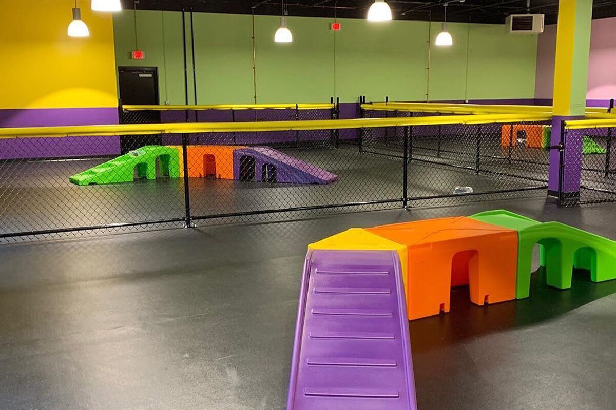Indoor play areas at central bark Charlotte, NC