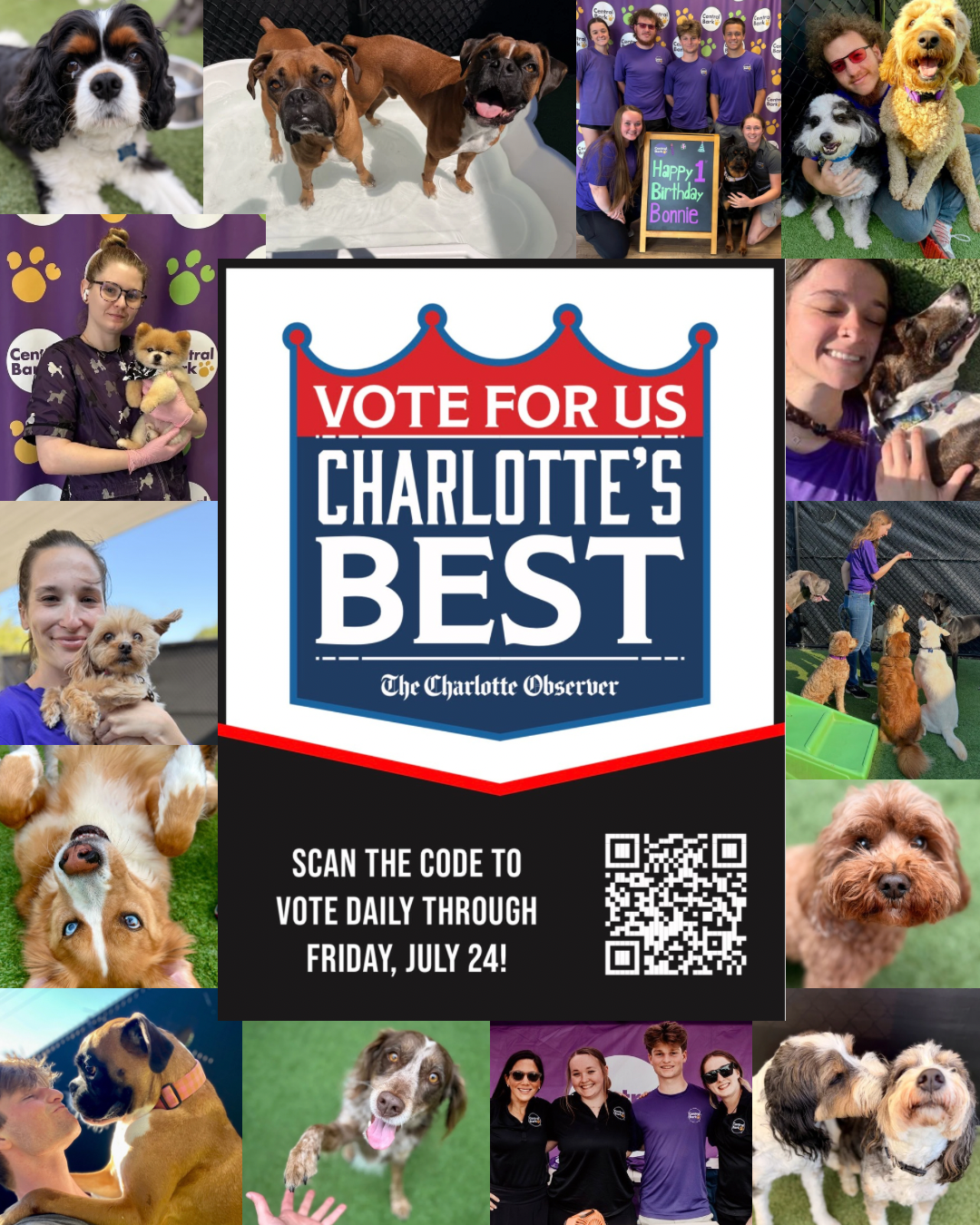 Central Bark Charlotte-Matthews staff and happy dogs surrounding a Charlotte's Best 2026 voting graphic with a QR code encouraging daily votes for Dog Daycare, Dog Boarding, Dog Grooming, and Dog Training.