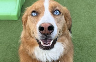 Cheyenne posing for her picture during Enrichment Daycare