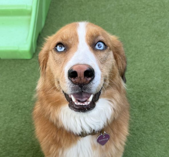 Cheyenne posing for her picture during Enrichment Daycare