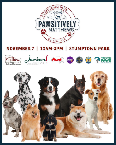 Join us for a tail-wagging good time at Pawsitively Matthews on November 7 from 10 AM to 3 PM at Stumptown Park! This fun-filled event celebrates our four-legged friends and the wonderful community that loves them.