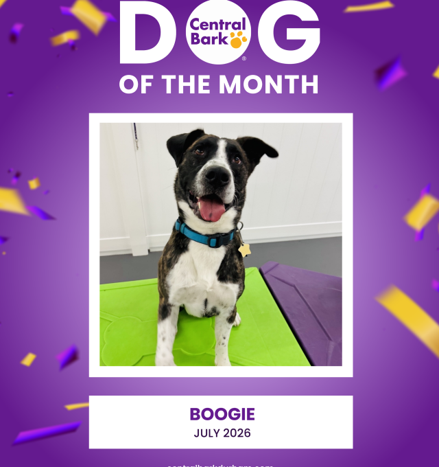 July Dog of The Month
