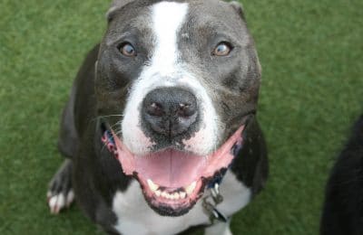 October Dof Of The Month