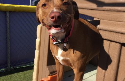 Maggie