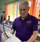 Miguel, a Central Bark employee, grooming a white dog