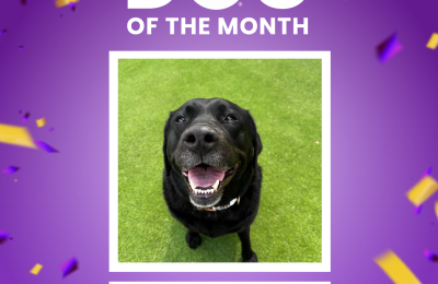 April Dog of the Month: Congrats, Lucy!