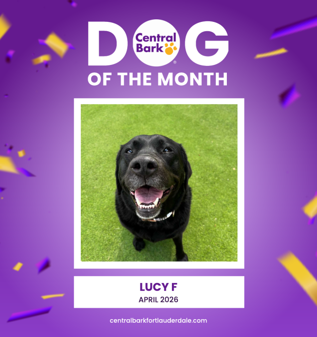 April Dog of the Month: Congrats, Lucy!
